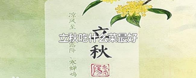 立秋吃什么菜最好