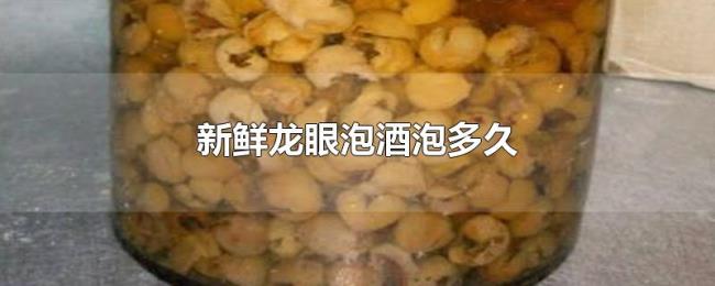 新鲜龙眼泡酒泡多久 新鲜龙眼泡酒泡多久