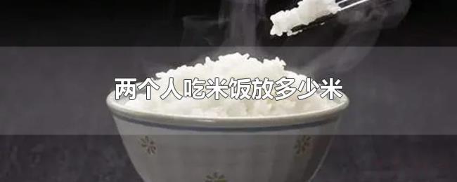 两个人吃米饭放多少米