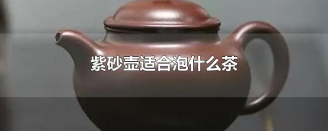 紫砂壶适合泡什么茶