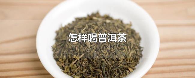 怎样喝普洱茶