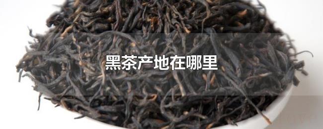 黑茶产地在哪里 黑茶产地在哪里