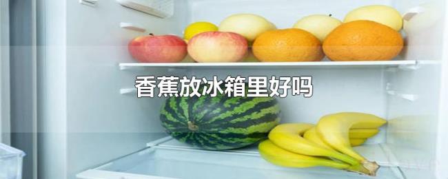 香蕉放冰箱里好吗 香蕉放冰箱里好吗