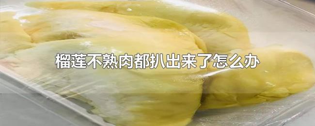 榴莲不熟肉都扒出来了怎么办 榴莲不熟肉都扒出来了怎么办