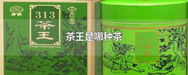 茶王是哪种茶