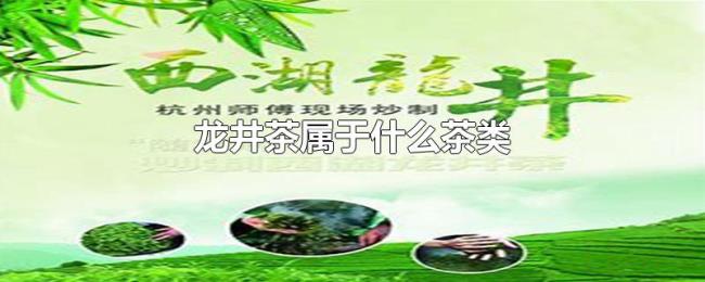 龙井茶属于什么茶类