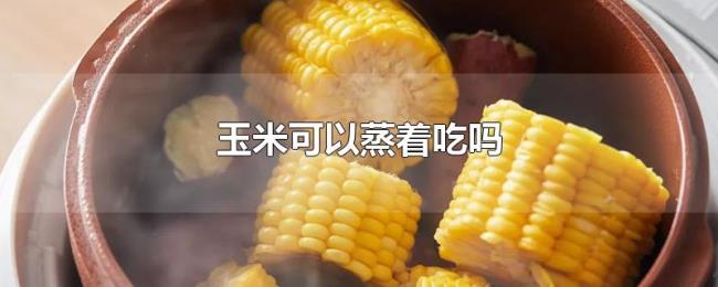 玉米可以蒸着吃吗 玉米可以蒸着吃吗