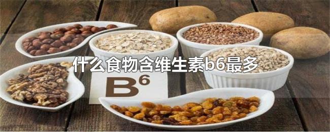 什么食物含维生素b6最多