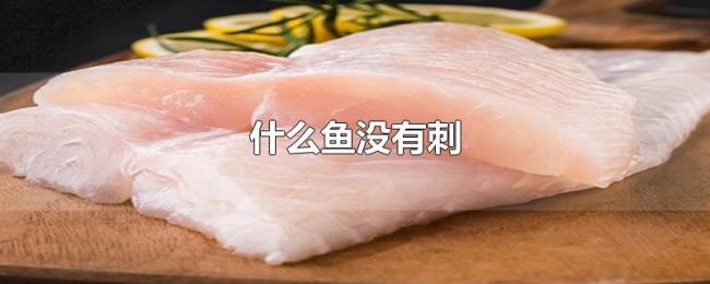 什么鱼没有刺 什么鱼没有刺