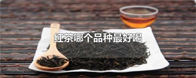 红茶哪个品种最好喝