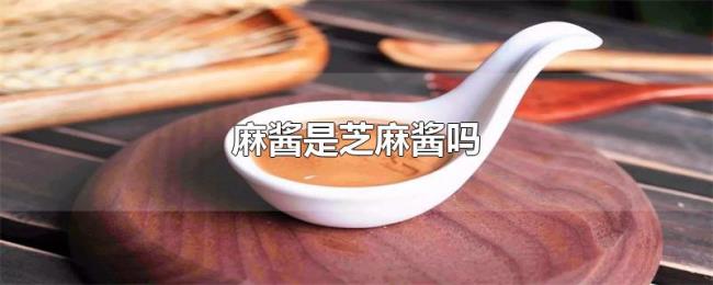 麻酱是芝麻酱吗