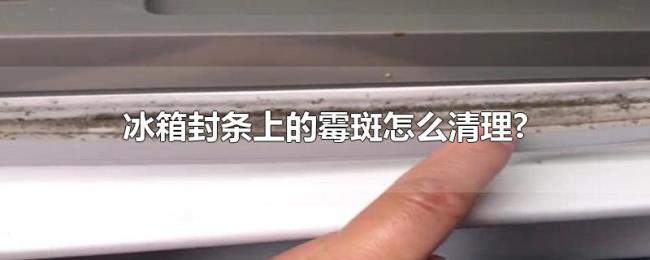 冰箱封条上的霉斑怎么清理? 冰箱封条上的霉斑怎么清理?
