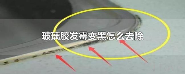 玻璃胶发霉变黑怎么去除