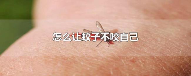 怎么让蚊子不咬自己 怎么让蚊子不咬自己