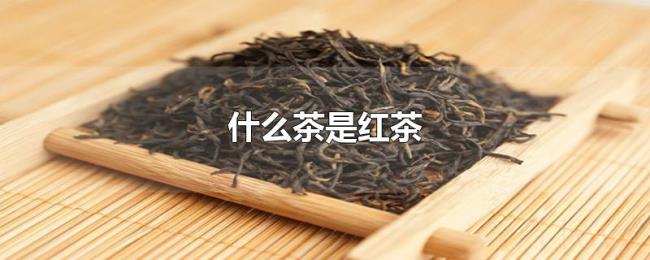 什么茶是红茶 什么茶是红茶