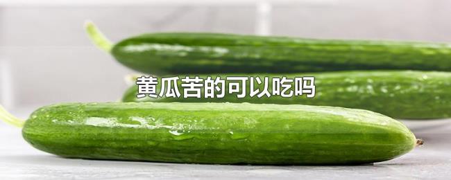 黄瓜苦的可以吃吗 黄瓜苦的可以吃吗