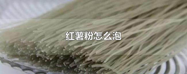 红薯粉怎么泡 红薯粉怎么泡