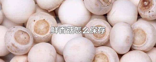 鲜香菇怎么保存 鲜香菇怎么保存