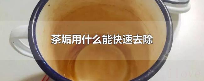 茶垢用什么能快速去除 茶垢用什么能快速去除
