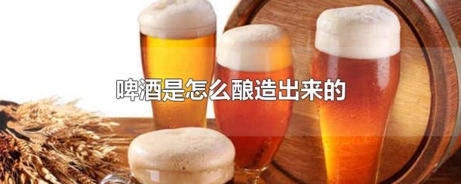 啤酒是怎么酿造出来的 啤酒是怎么酿造出来的