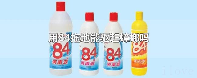 用84拖地能驱赶蟑螂吗