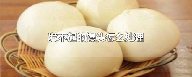 发不起的馒头怎么处理 发不起的馒头怎么处理