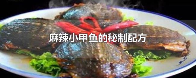 麻辣小甲鱼的秘制配方 麻辣小甲鱼的秘制配方