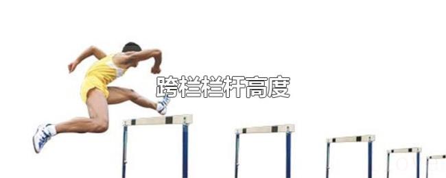 跨栏栏杆高度