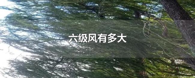 六级风有多大