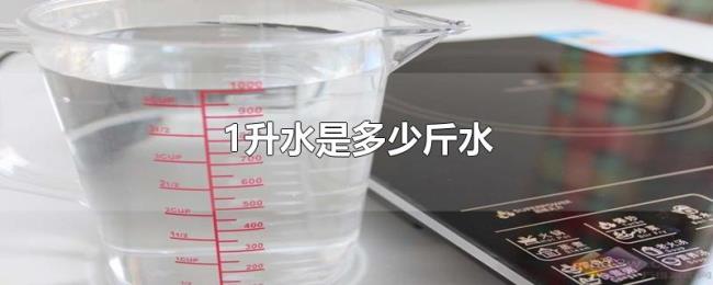 1升水是多少斤水