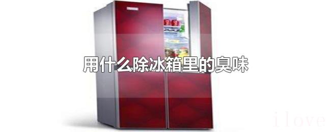 用什么除冰箱里的臭味