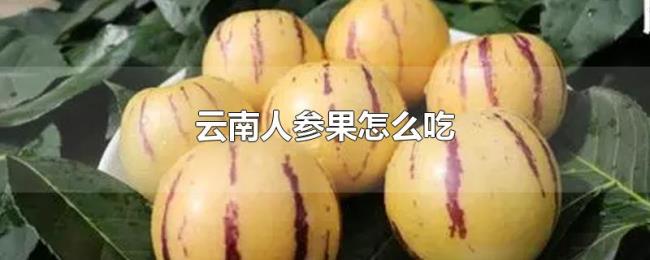 云南人参果怎么吃