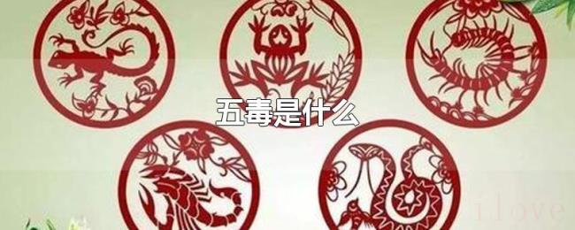 五毒是什么 五毒是什么