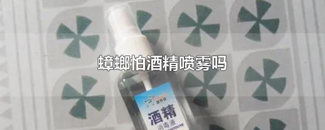 蟑螂怕酒精喷雾吗