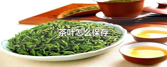 茶叶怎么保存 茶叶怎么保存