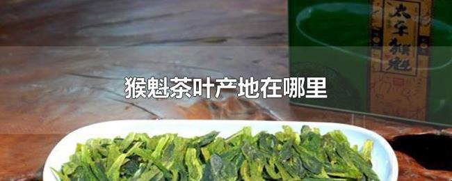 猴魁茶叶产地在哪里 猴魁茶叶产地在哪里