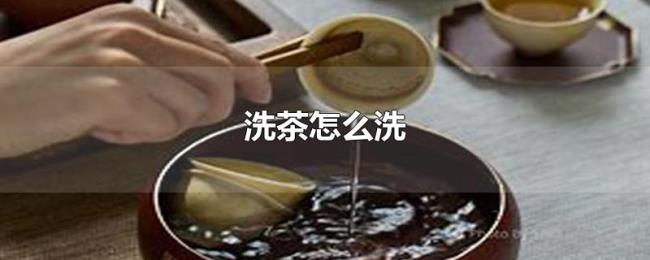 洗茶怎么洗 洗茶怎么洗