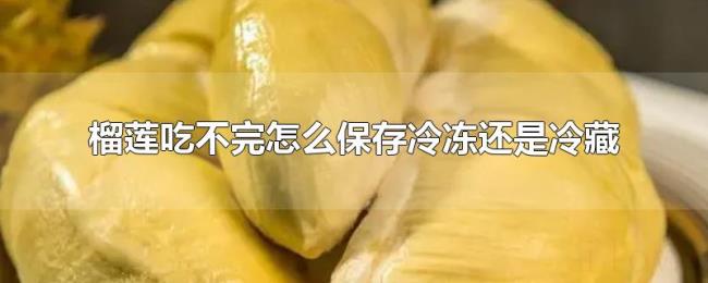 榴莲吃不完怎么保存冷冻还是冷藏 榴莲吃不完怎么保存冷冻还是冷藏