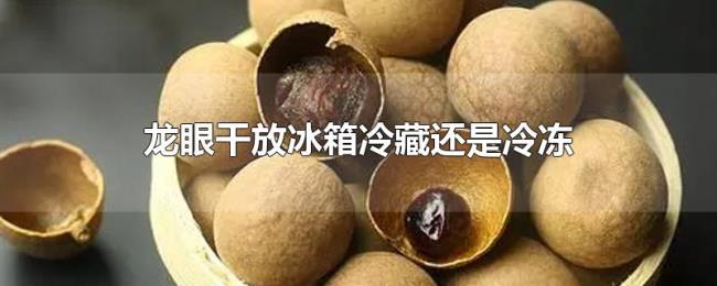 龙眼干放冰箱冷藏还是冷冻 龙眼干放冰箱冷藏还是冷冻