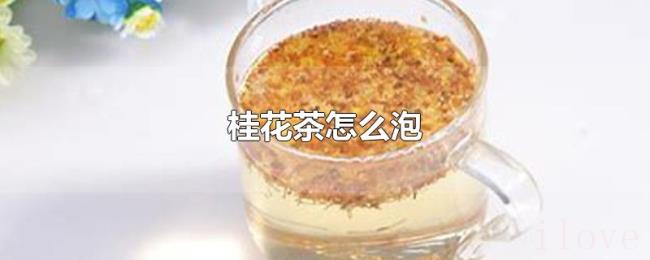 桂花茶怎么泡 桂花茶怎么泡