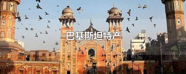 巴基斯坦特产