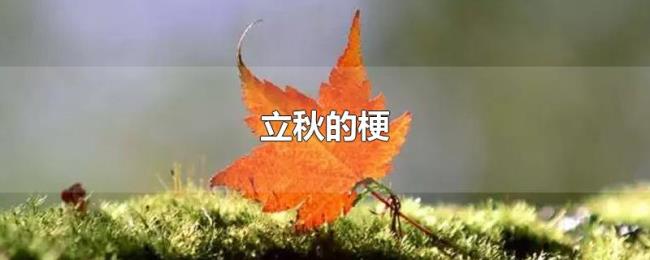 立秋的梗