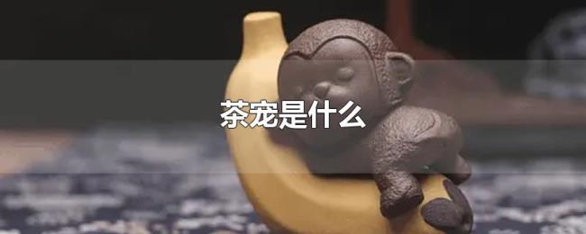 茶宠是什么 茶宠是什么