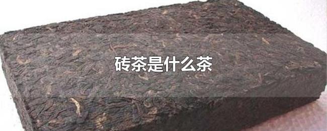 砖茶是什么茶 砖茶是什么茶