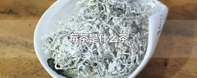 莓茶是什么茶 莓茶是什么茶