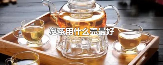泡茶用什么壶最好 泡茶用什么壶最好