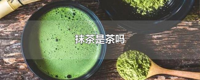 抹茶是茶吗 抹茶是茶吗