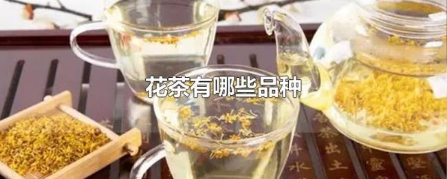 花茶有哪些品种
