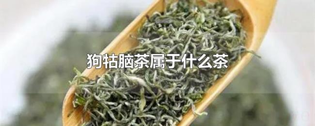 狗牯脑茶属于什么茶 狗牯脑茶属于什么茶