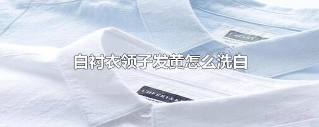 白衬衣领子发黄怎么洗白